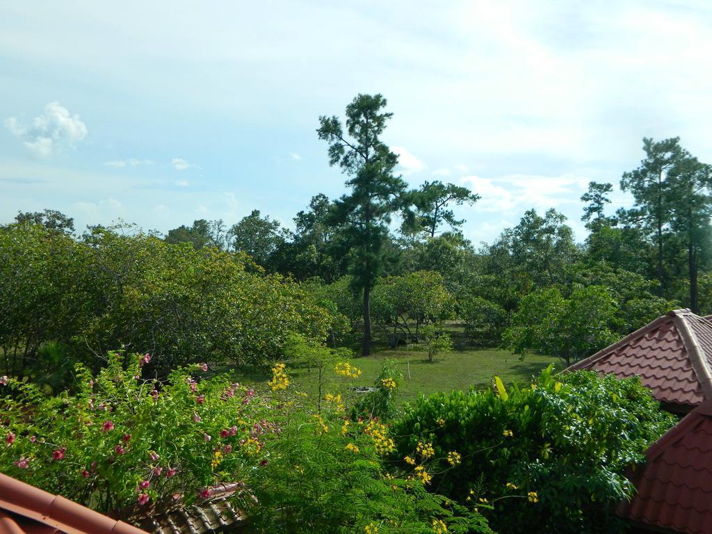 Becks Bed & Breakfast Crooked Tree Extérieur photo