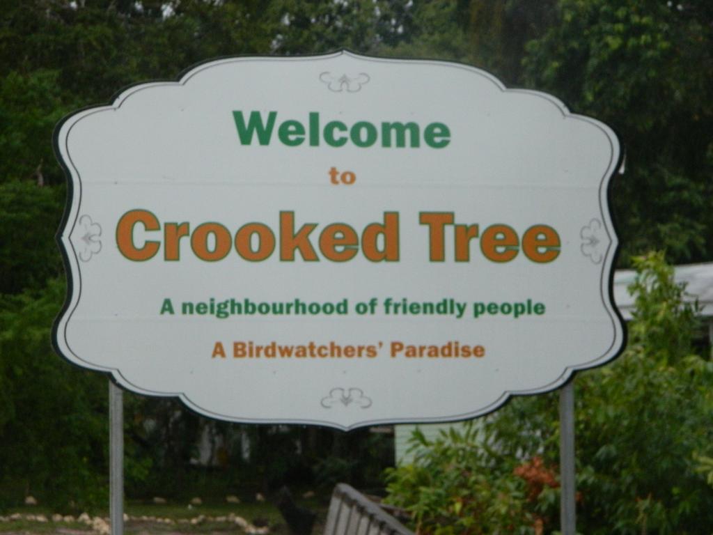 Becks Bed & Breakfast Crooked Tree Extérieur photo